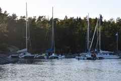 NIK_4225